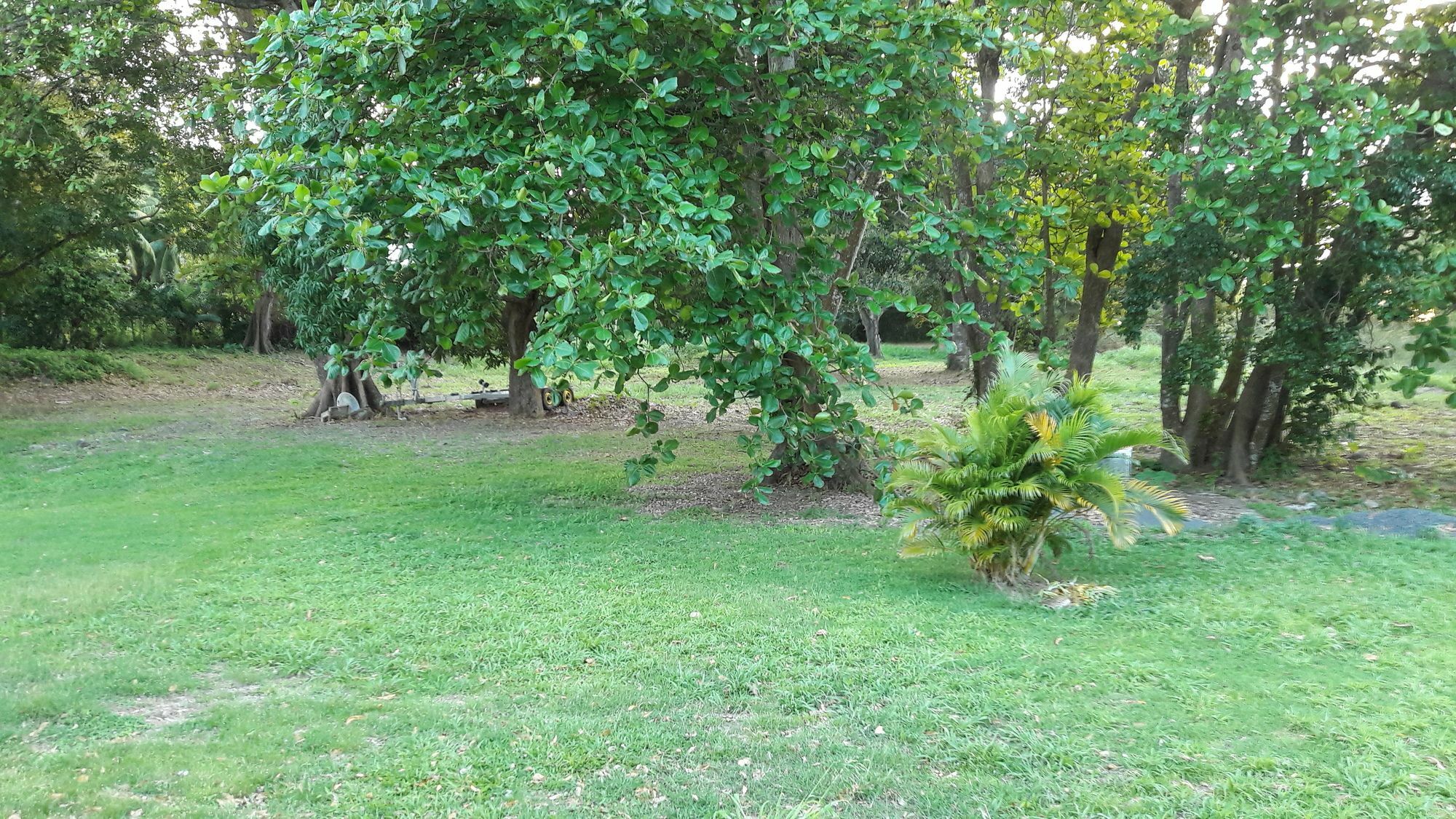 Bungalow Papaye Пуэнт-Нуар Экстерьер фото